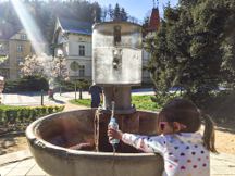 ヨーロッパでの飲泉事情視察